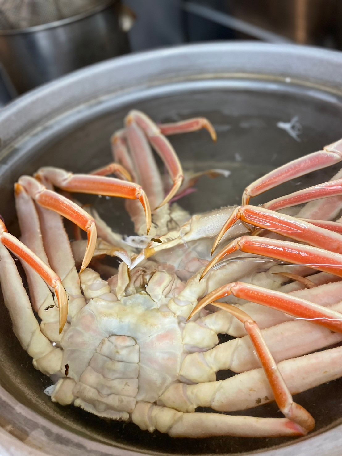 Images 寿司割烹ふじい