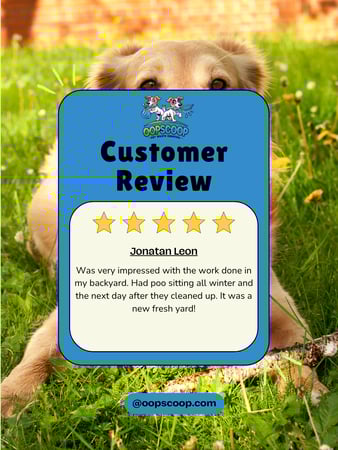 Images Oop Scoop Pet Waste Removal