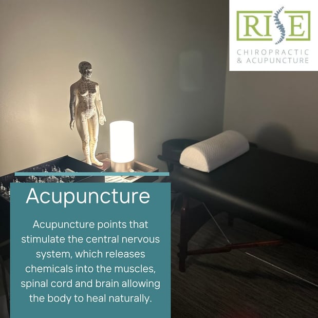 Images Rise Chiropractic and Acupuncture