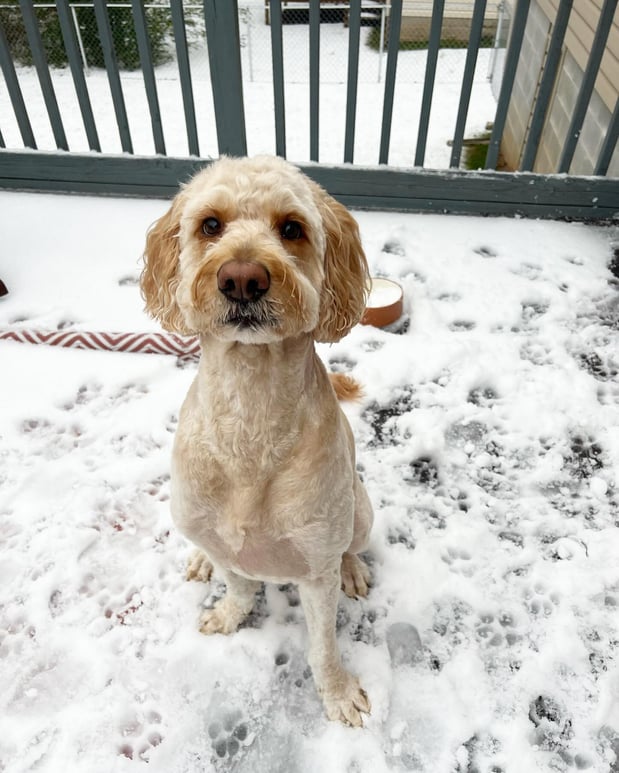 Images Matthew Maniscalco - State Farm Insurance Agent