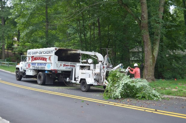 Images Tomahawk Tree Service