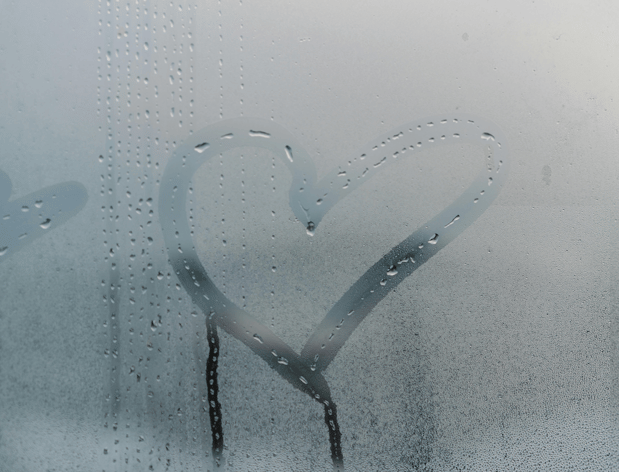 Images Absolute Glass