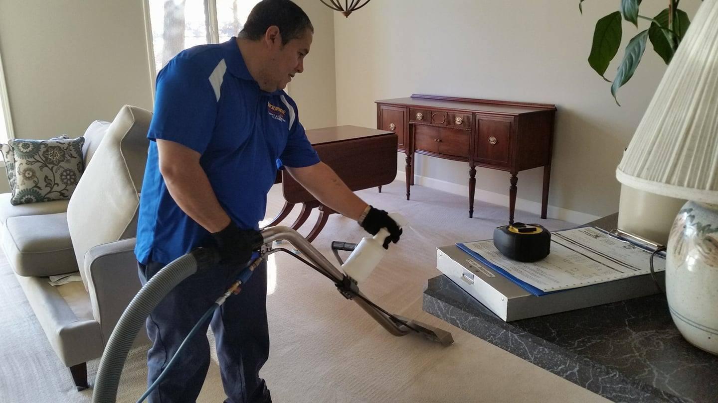 Wolverine Carpet Cleaning Photo
