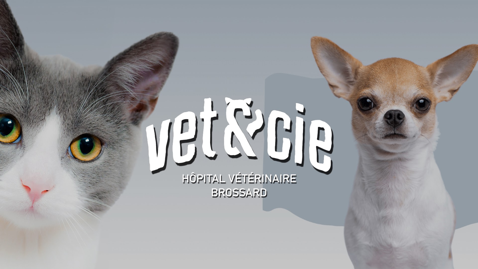 Images Vet & Cie Brossard | Vétérinaire indépendant & québécois, Toilettage, Parc canin, Urgences chiens et chats | Montérégie