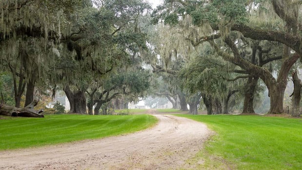 Images Bradshaw & Company, LLC