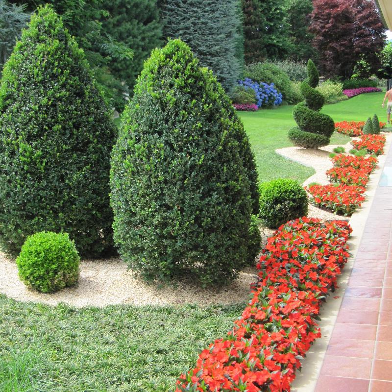 Images Dido' Floricoltura