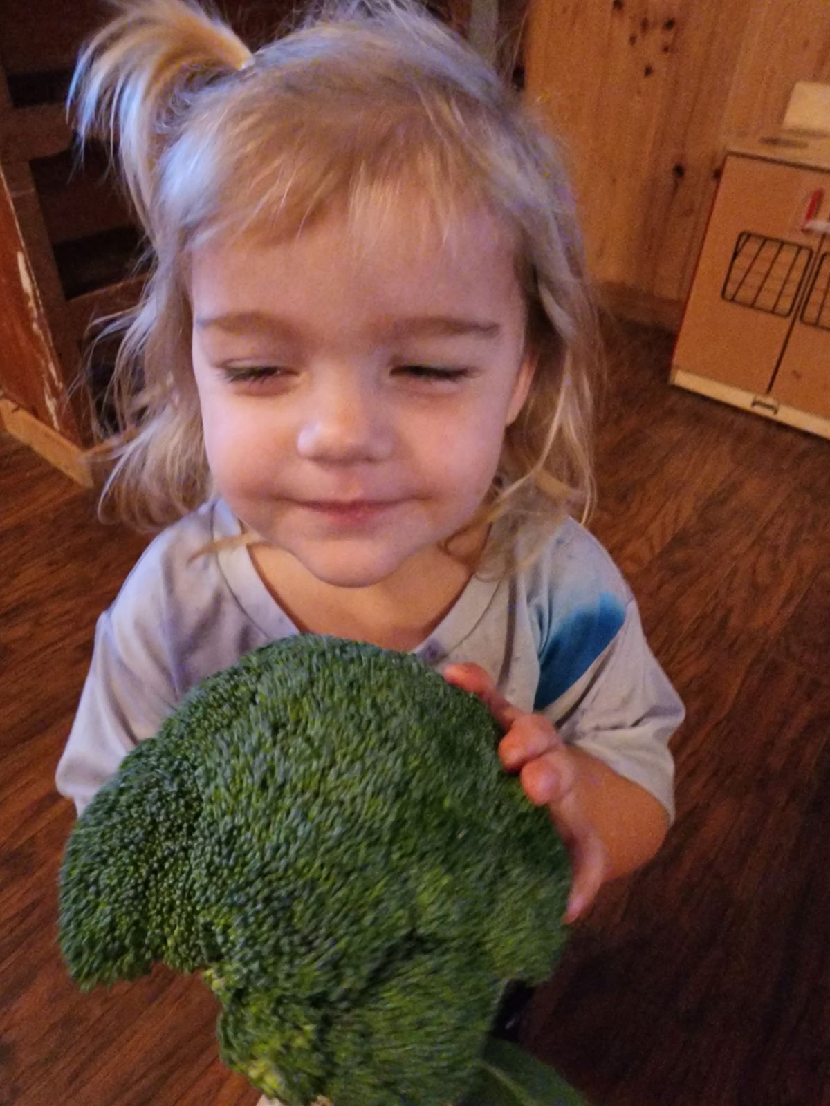 Little Folks Farm & Childcare Image