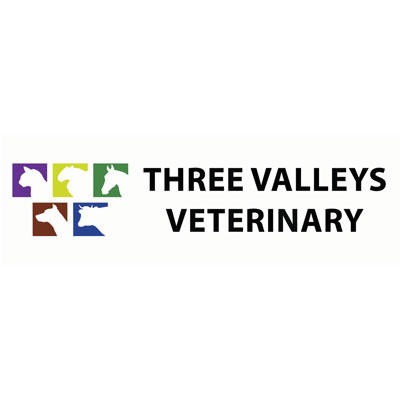 Three Valleys Veterinary - Fivemiletown Logo
