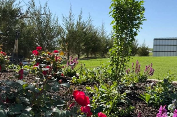 Images Plant Care, Commercial Landscape Maintenance