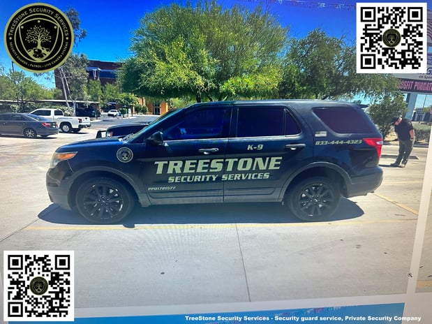 Images TreeStone Security Services