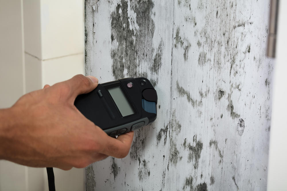 Mold Inspections in Minneapolis