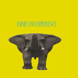 Emme Uno Logo