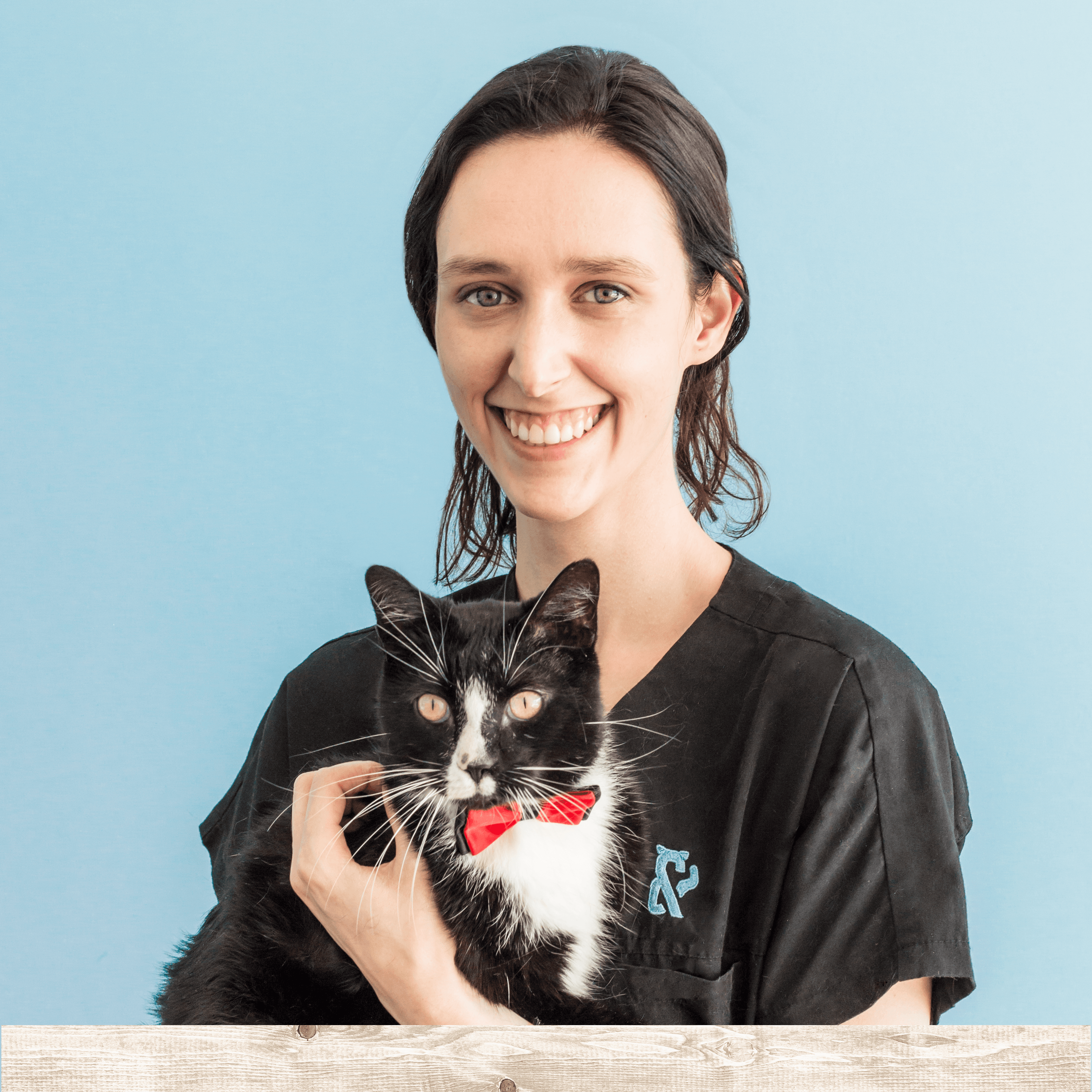 Images Vet & Cie Brossard | Vétérinaire indépendant & québécois, Toilettage, Garderie pour chien, Urgence chien et chat | Montérégie