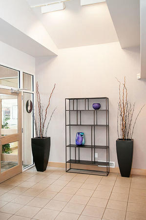 Images Madrona Dental Care