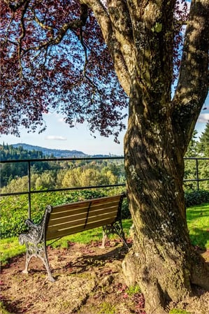 Images Overlook at the Willamette