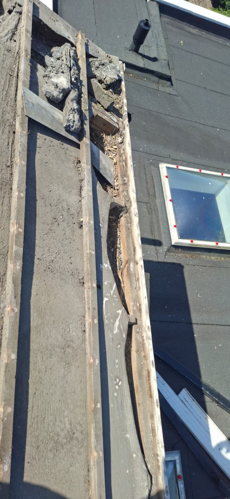 Pro Elite Roofing 91