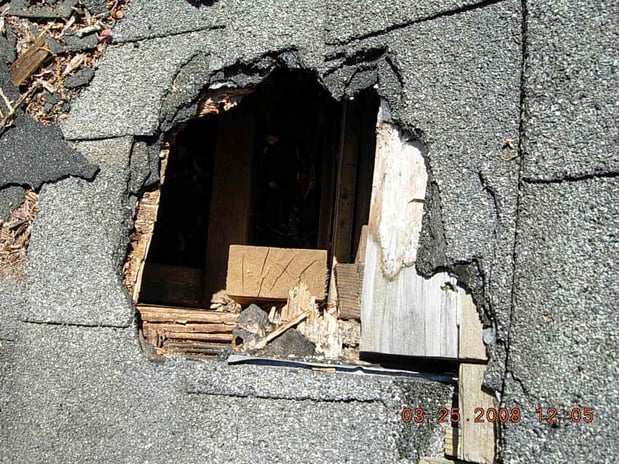 Images Covenant Wildlife