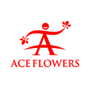 Flowers Houston Florist Roses Online Same Day Delivery Ace Flowers Image 8