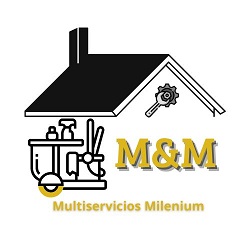 Multiservicios Milenium Barcelona