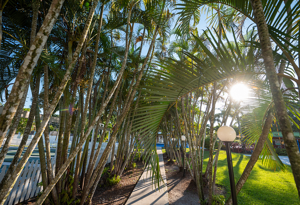 Encore Miami Everglades