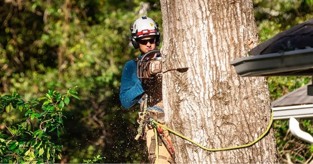 Images Heritage Tree Services