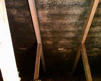 Can you spot the mold? SERVPRO can and we are Here to Help.