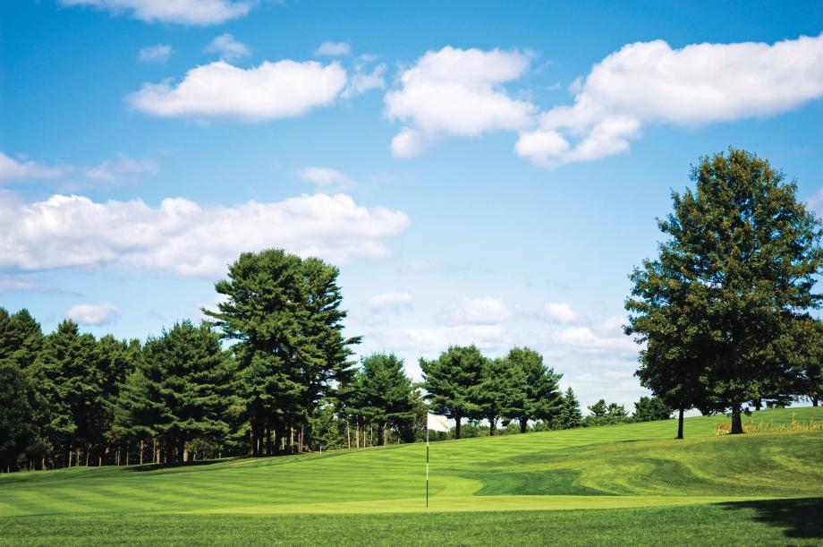 Explore the lush greens and challenging fairways of the local golf courses