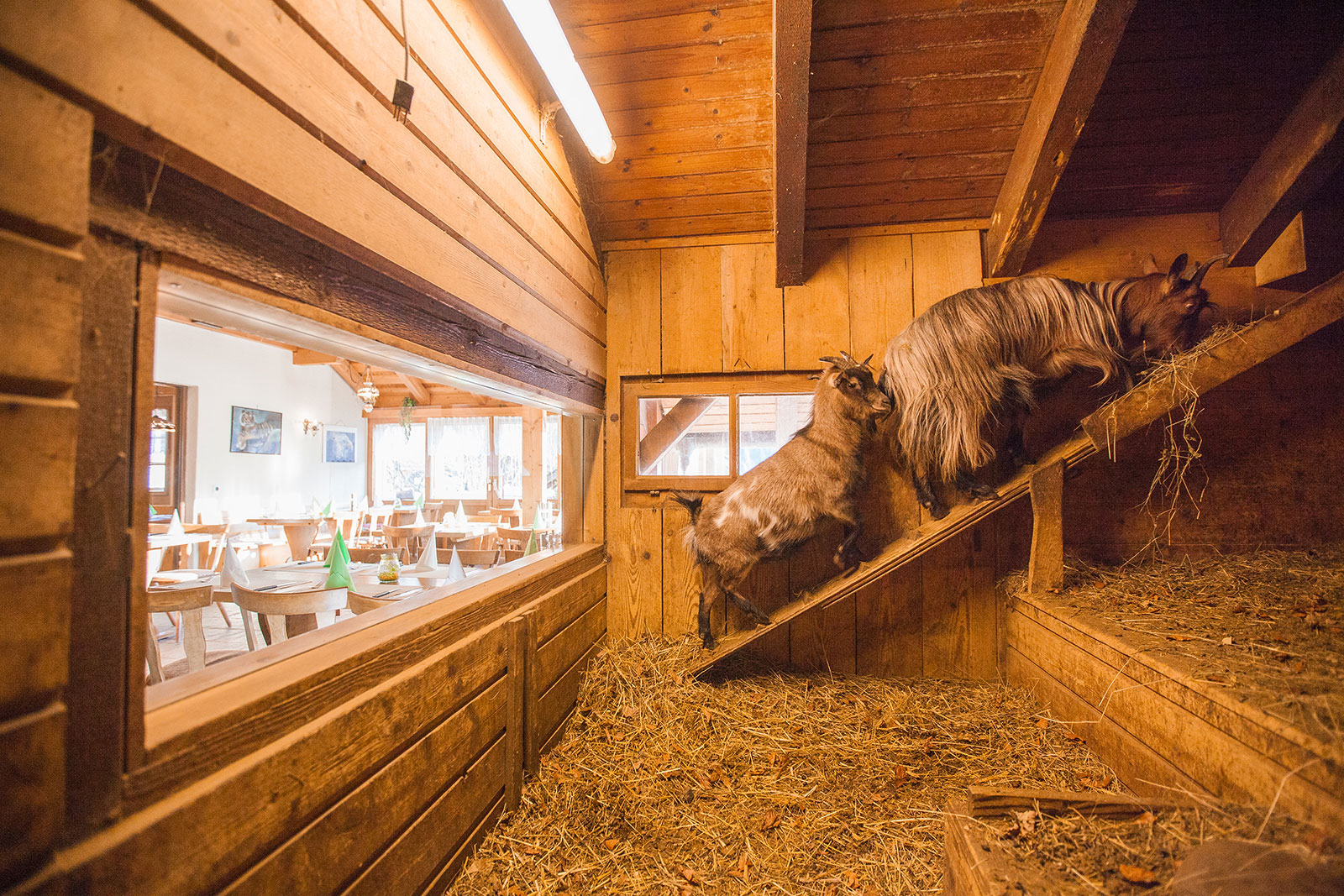 Bilder Hotel Restaurant Schönau