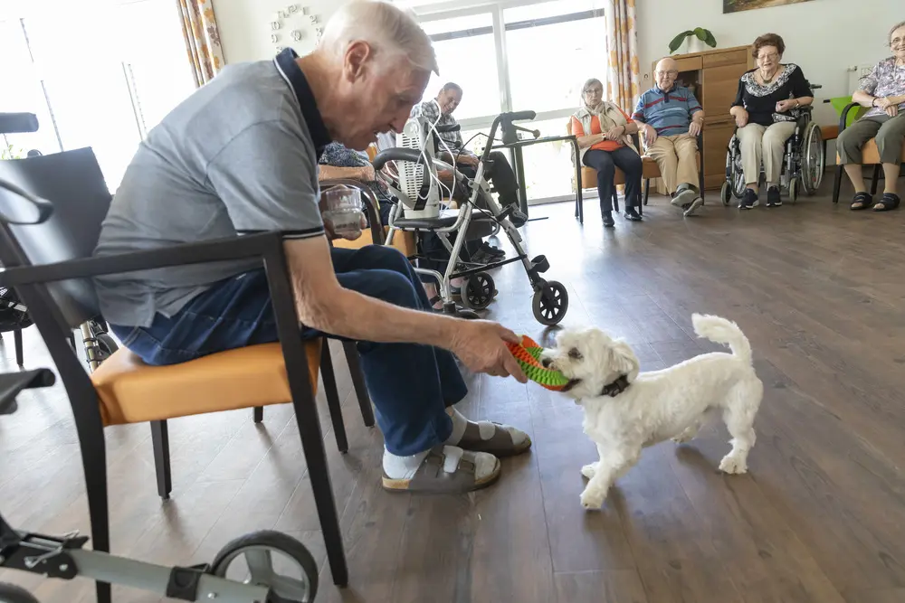 Kundenbild groß 5 Zentrum für Betreuung und Pflege am Eifelsteig Landscheid