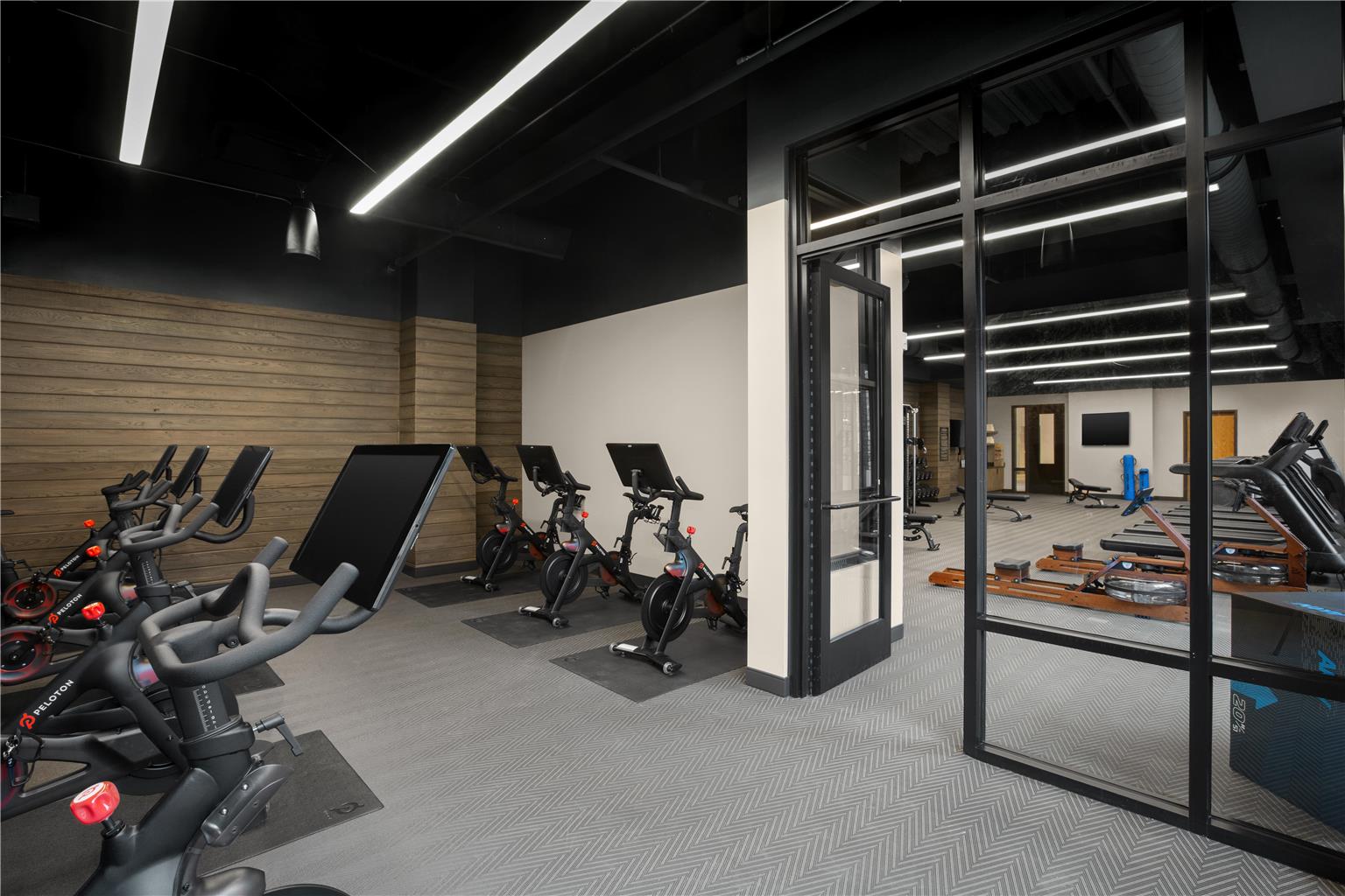 Health club  fitness center  gym