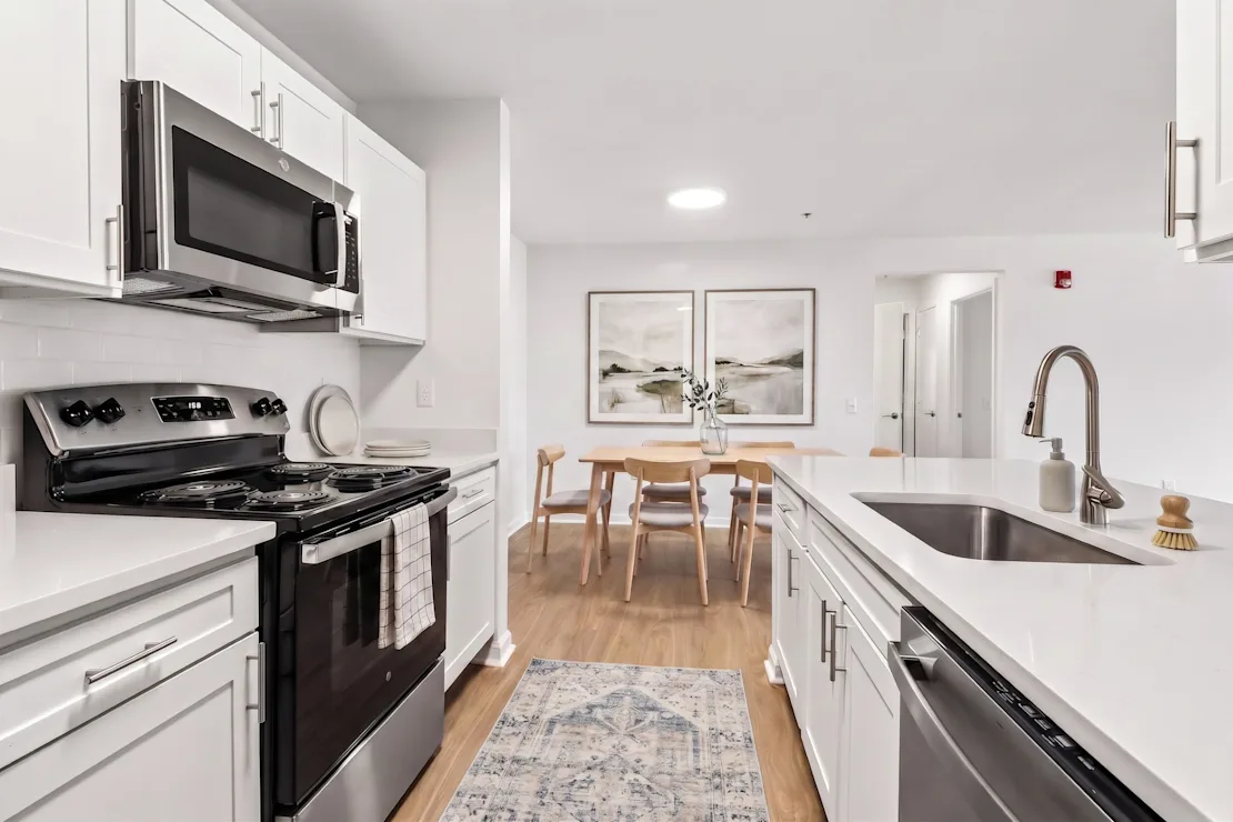 Modern Kitchen 