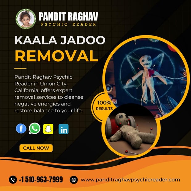 Images Pandit Raghav Psychic Reader Indian astrologer