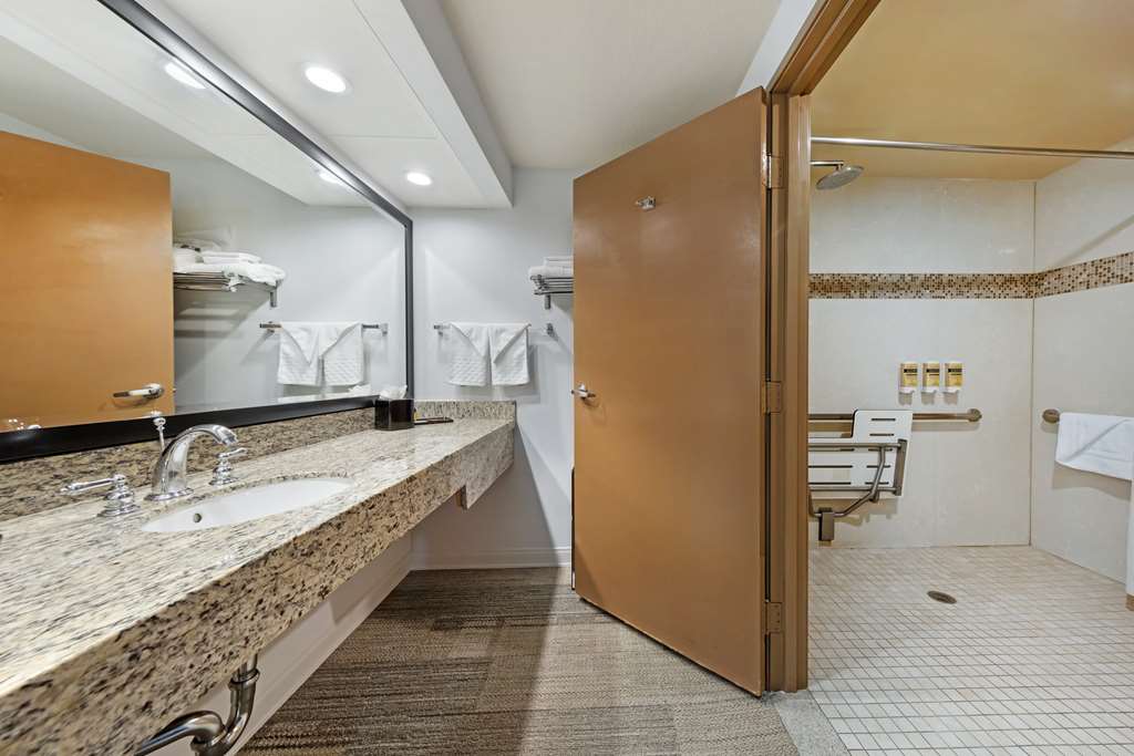 Guest Bath ADA RollSh