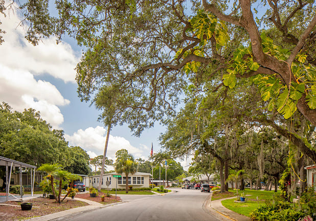 Images Shady Lane Oaks