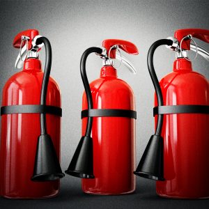 Images Cavallari Gino