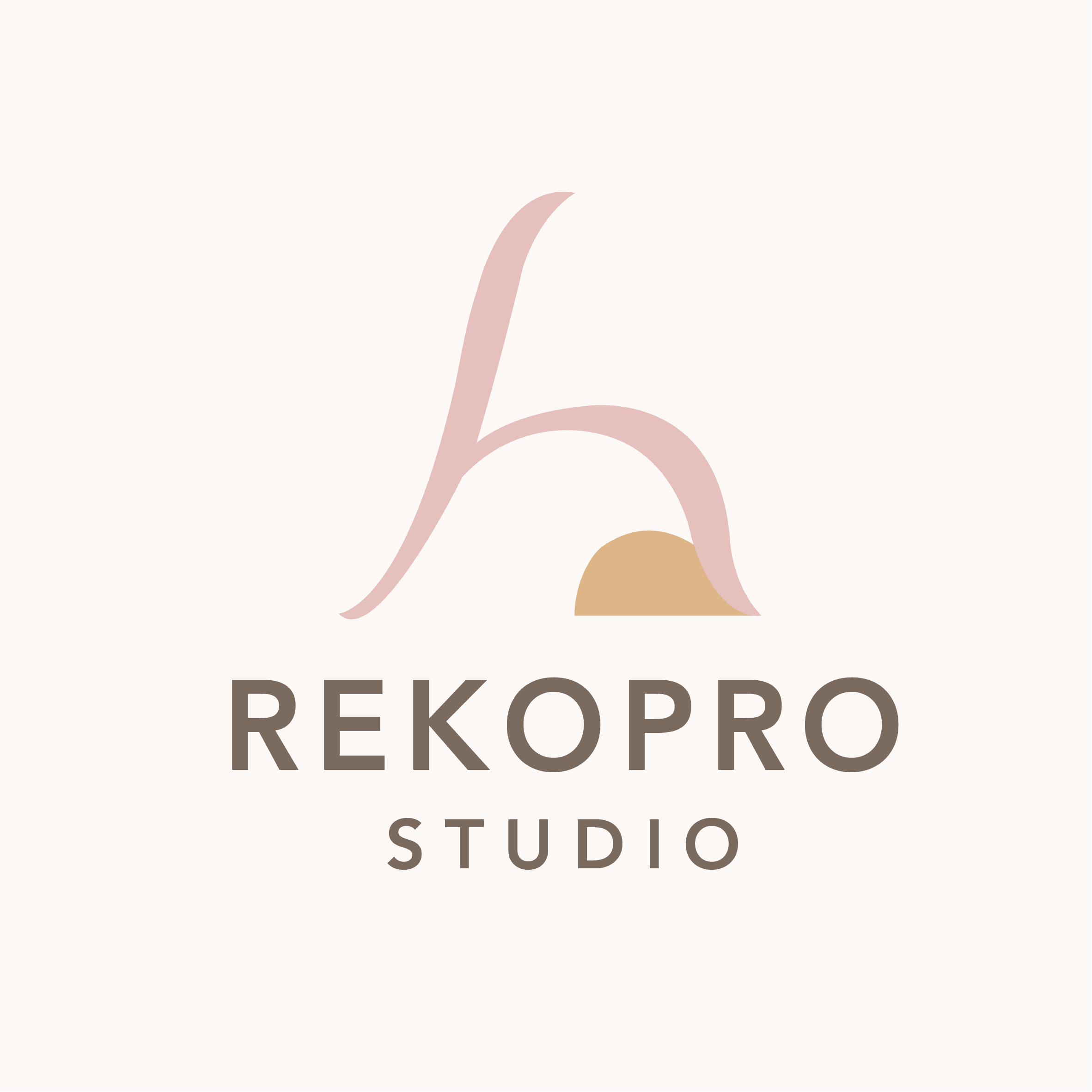 REKOPRO STUDIO conseil en organisation, gestion management