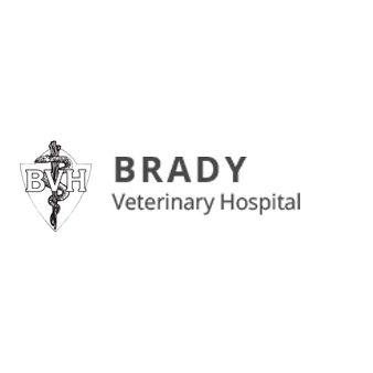 Brady Vet Hospital
