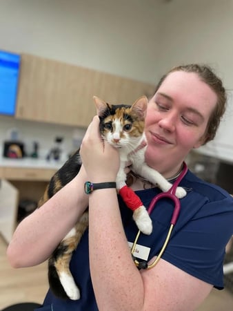 Images Petfolk Veterinary & Urgent Care - Peachtree Corners