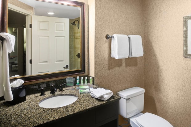 Images Holiday Inn Express & Suites Atlanta Buckhead by IHG
