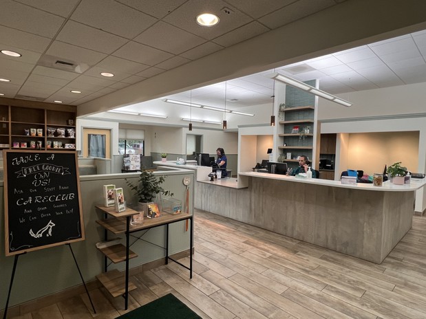 Images VCA North Portland Veterinary Hospital