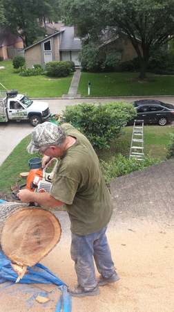 Images TNT Tree Service