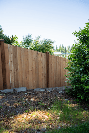 Images Rare Bears Fencing
