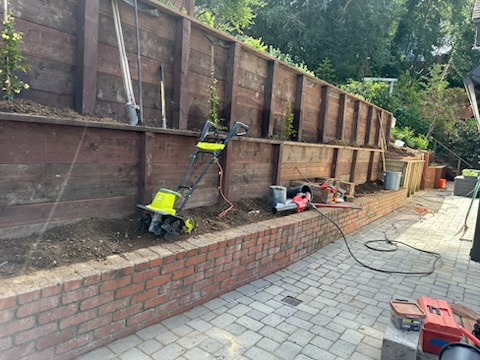 Francisco's Gardening and Maintenance Image