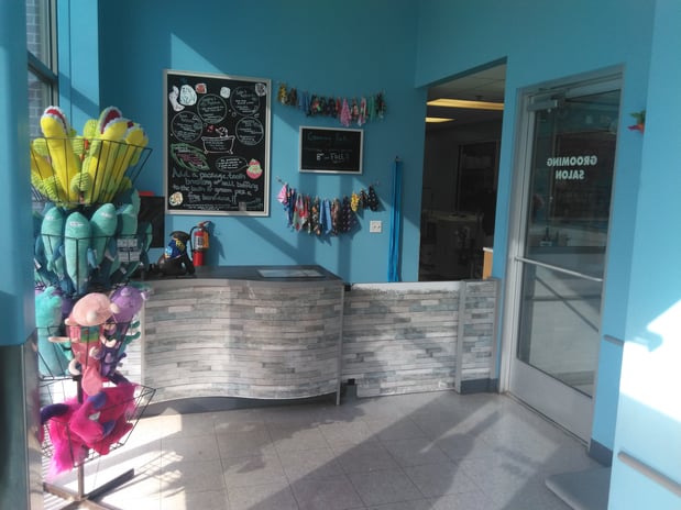 Images Petco Grooming