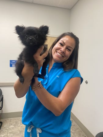 Images VCA Baring Boulevard Animal Hospital