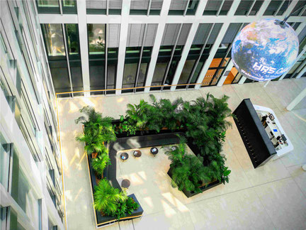 Bilder effektivgrün - Raumbegrünung und Büropflanzen Köln