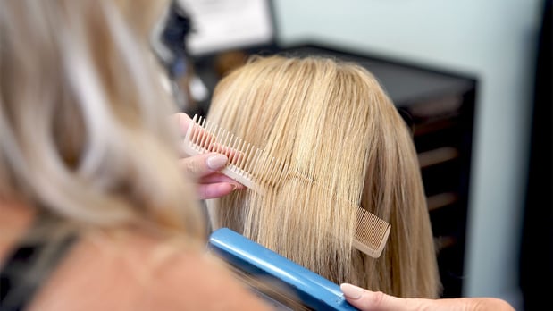 Images The Mane Attraction