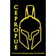 Cercas Profesionales De Puebla Cepropue Puebla