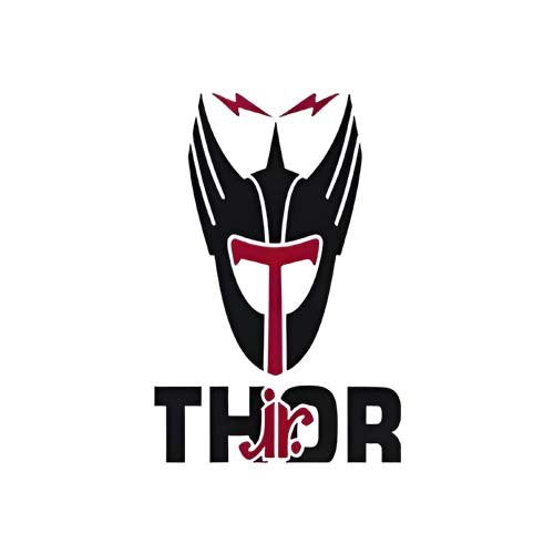 Thor Jr Electrical