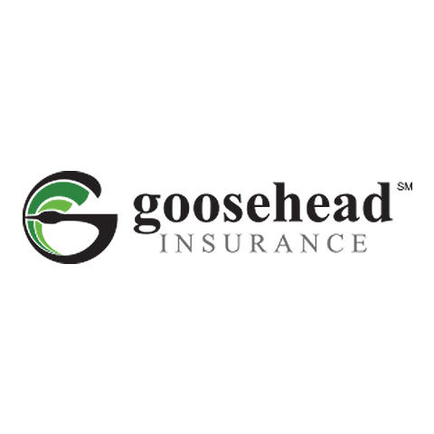 business logo